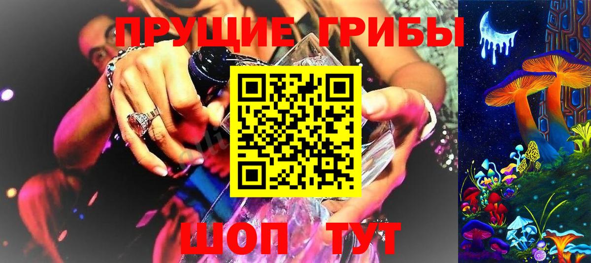 Псилоцибиновые грибы Cubensis Тольятти